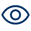 vision-icon